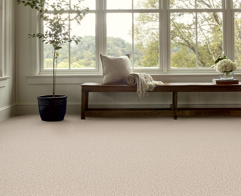 beige carpet in entryway with wood bench and plant